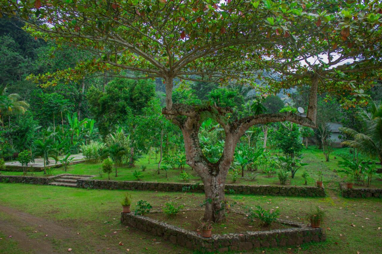 Welfare Agroturismo Milagrosa Ngoại thất bức ảnh